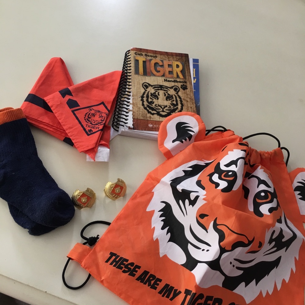 Cub Scout Tiger Set
